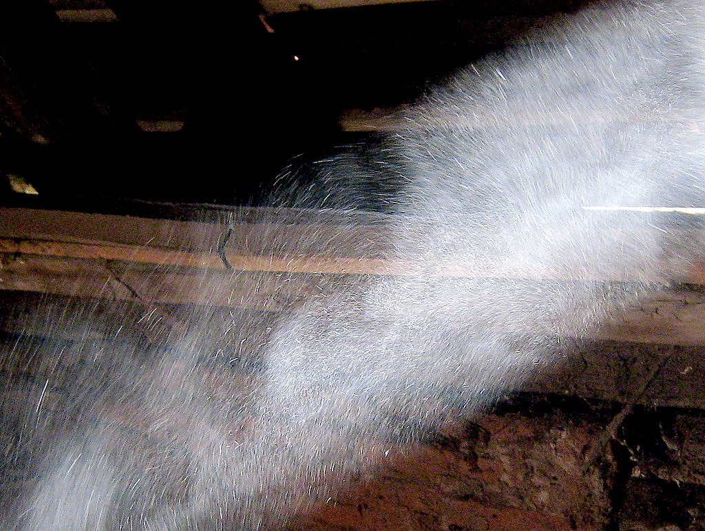 Dust_dancing_in_the_sunlight_Me_074c