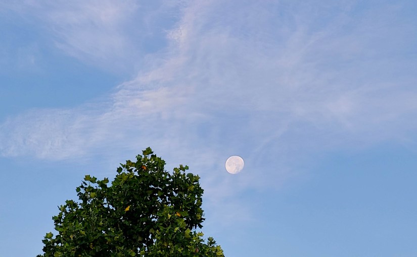 The Morning Moon