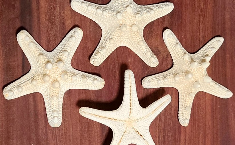 Pentagram, Pentastar, and&nbsp;Starfish